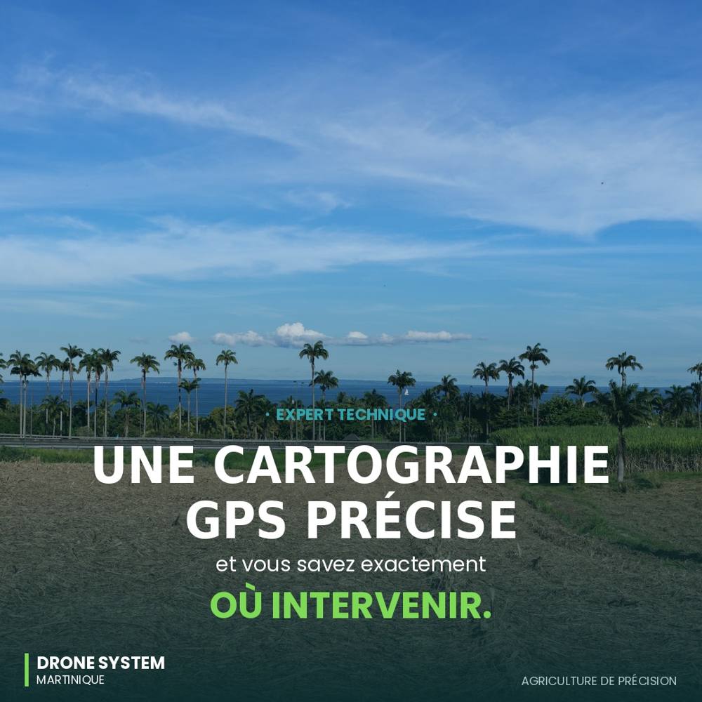 Rapport géoréférencé, KML, GPX : ce que vous recevez après une mission drone