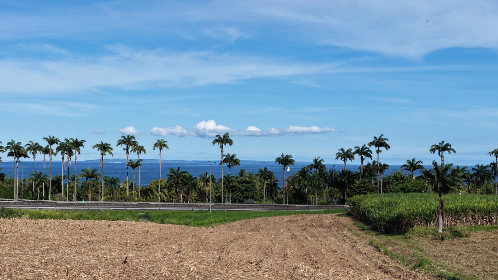 Vue aérienne Martinique