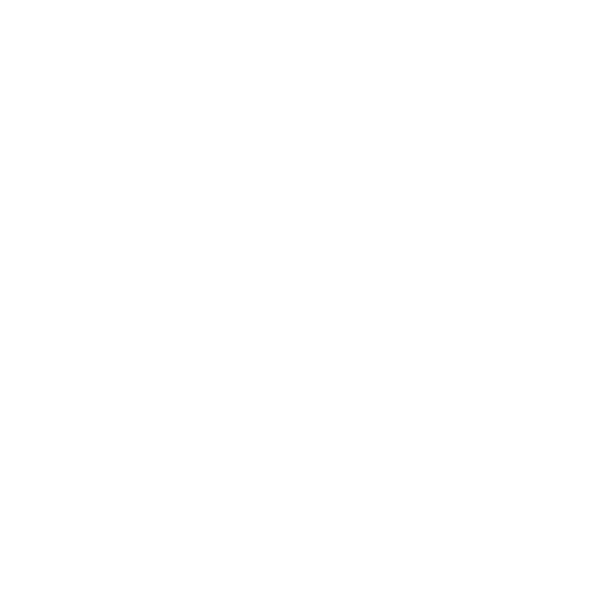 DRONE SYSTEM